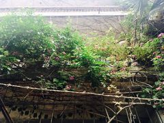 -孙记大碗皮肚面(后宰门店)