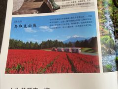 -锦江旅游(上海旅行社店)