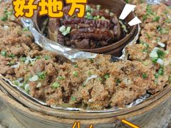 -洪湖家庭农场·团建·露营·会议
