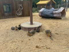 -茅山东方盐湖城景区