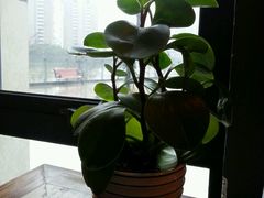 -BUND·FIVE外滩5号(天际店)