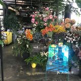 初见鲜花咖啡店☕️💐