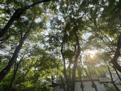 -玲珑塔公园