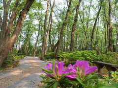 -金孔雀温泉旅游度假村
