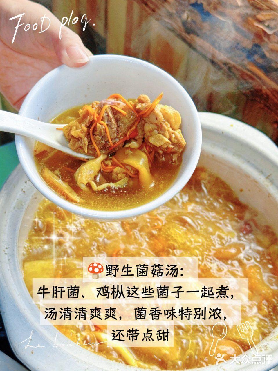 在大理！被方舟胖子厨房野生菌狠狠拿捏！