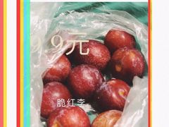 -百果园PAGODA(中铭豪园店)