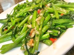 -光海鲜鱼翅餐厅(叻差拉披色路店)