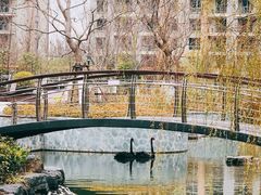 -梧桐人家中国太平国际健康颐养社区