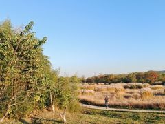 -良渚古城遗址公园