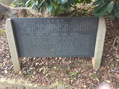 -雨花胜境