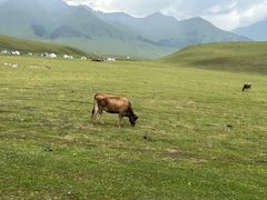 -新疆那拉提国家旅游度假区