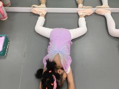 -西安小天鹅艺术团(金花路校区)