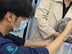 -瑞派长江宠物医院·猫科·外科·24小时夜护(谊城公寓分院)