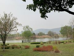 -长广溪湿地公园