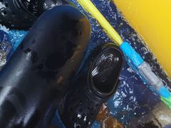 -将军关探险漂流