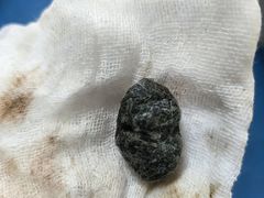 -派美特宠物医院·核磁CT·骨科肿瘤·疑难转诊(沈农禾丰店)