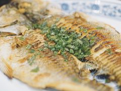 干煎海鲈鱼-兰边碗(鼓楼店)