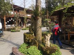 -青城甲(青城山店)