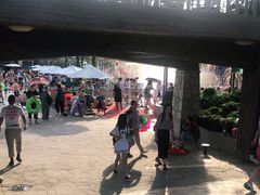 -南京银杏湖乐园