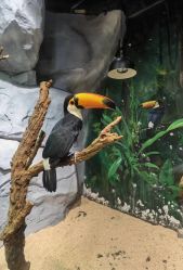 -Zoolung Zoolung动物主题公园(海信广场店)