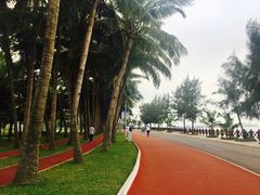 -万绿园