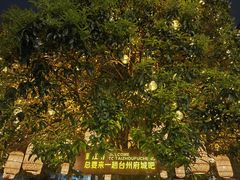 -紫阳古街