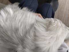 -小时光咖啡馆(北锣鼓巷店)
