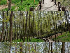 -洪泽湖古堰景区