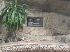 -海口观澜湖火山温泉谷