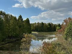 -上海海湾国家森林公园