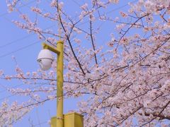 -西北湖绿化广场