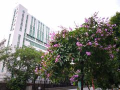 -星海音乐学院(沙河校区)