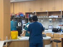 -联合动物医院(光谷诊疗中心)