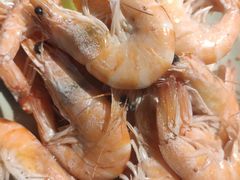 -圣罗巴海鲜烤肉自助(赤峰店)