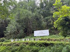 -芳草地度假酒店·野炉中餐厅