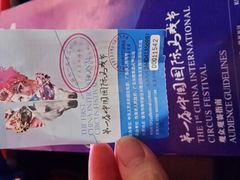 -珠海横琴长隆《卡卡虎奇遇记》