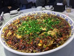 -新概念来凤鱼(璧山店)