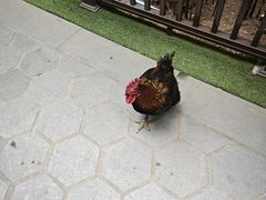 -福建泉州仙公山风景名胜区