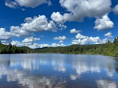 -五营红松林海景区