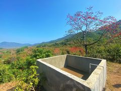 -海南霸王岭国家森林公园