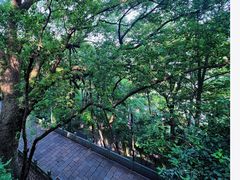 -吴山景区