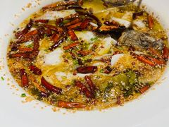 -九毛九西北菜(大东海店)