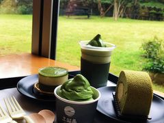 -雪绿茶博物馆