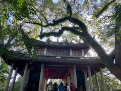 -蒋氏故居