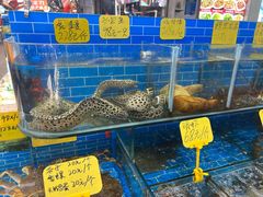 -船奇蒸汽海鲜·闽菜(八市海鲜总店)