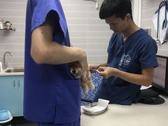 -芭比堂动物医院·心脏专科·夜诊·吉雅分院