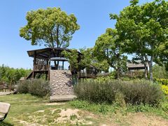 -上海长兴岛郊野公园