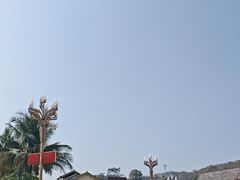 -打洛口岸