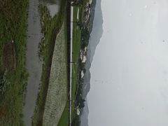 -黄牛肉馆·皖南土菜