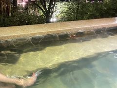 -汉拿山温泉度假酒店